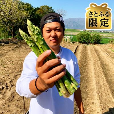 ふるさと納税 輪之内町 [さとふる限定][朝採れ即日梱包]国産 グリーンアスパラガス 500g 農家直送 冷蔵発送 岐阜県産