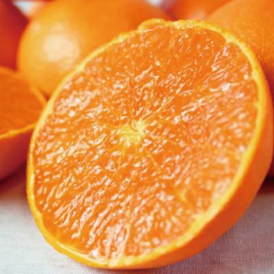 ふるさと納税 太地町 [ご家庭用訳あり]紀州和歌山産 せとか 約5kg[uot748A]