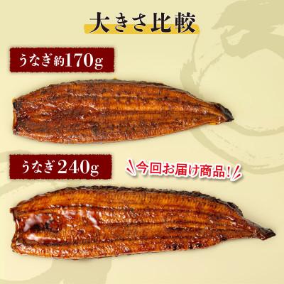 ふるさと納税 鹿屋市 鹿児島産　うなぎ240g×4尾(鹿屋市)_1