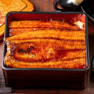 ふるさと納税 鹿屋市 鹿児島産　うなぎ240g×4尾(鹿屋市)_2