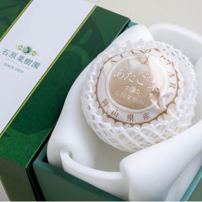 ふるさと納税 浅口市 あたご梨 1玉 贈答箱 赤秀 約900g玉(A1-09)