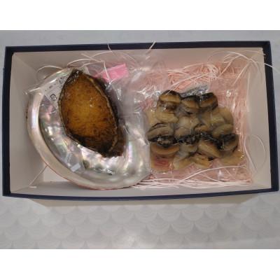 ふるさと納税 輪島市 むしあわび・アカニシ貝酒蒸しセット