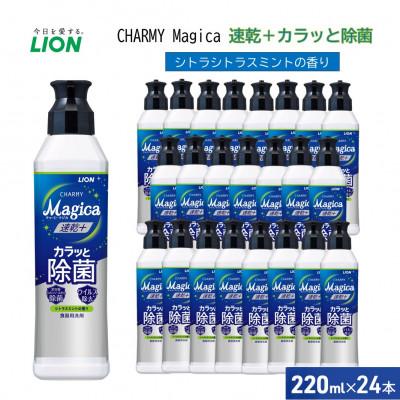 ふるさと納税 市原市 洗剤 チャーミーマジカ 速乾+カラっと除菌シトラスミント 24本 セット