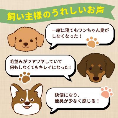 ふるさと納税 玉名市 アニマル・ワン 手作り風ドッグフード 犬の雑穀ごはんたきこみ(チキン)100g×10袋(玉名市)の画像