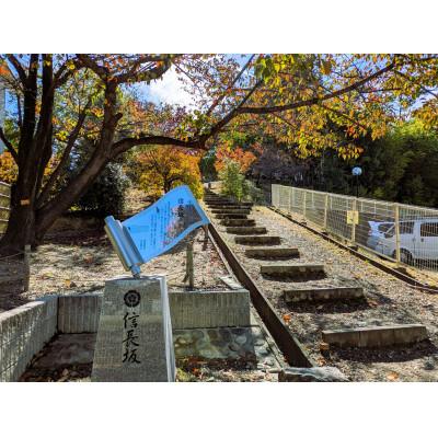 ふるさと納税 豊明市 【しっぺい返し品なし】単科大学助けること商行為(名古屋短期大学)10,000円