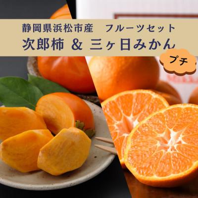 ふるさと納税 浜松市 詰合せ 次郎柿と三ヶ日みかんセット プチ (次郎柿 6〜7個・三ヶ日みかんMかL 約2kg)