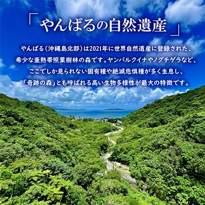 ふるさと納税 国頭村 広葉樹 国頭産イタジイの薪 約5kg(1束8枚)_1