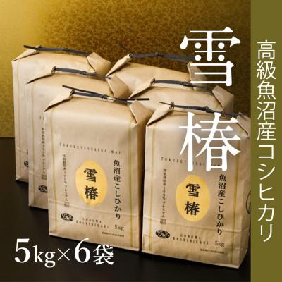 ふるさと納税 津南町 [令和8年産 コシヒカリ 先行予約]高級魚沼産コシヒカリ「雪椿」精米30kg(5kg×6袋)一括発送