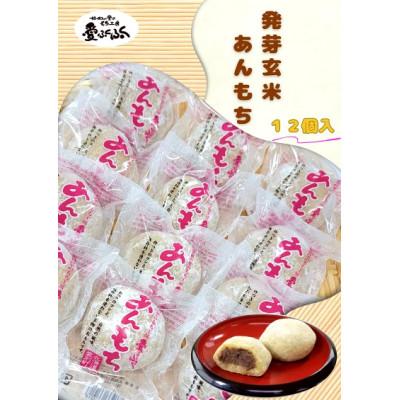 ふるさと納税 愛別町 [愛ふくふく]あんもち(発芽玄米)12個入りセット 合計900g