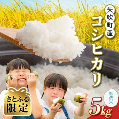 ふるさと納税 矢吹町 [さとふる限定]矢吹町産 コシヒカリ 令和7年産米 無洗米5kg