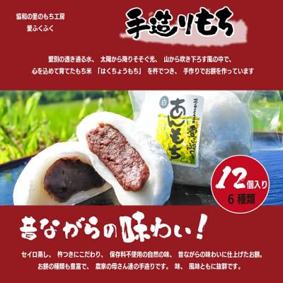 ふるさと納税 愛別町 [E13203]愛ふくふく「あんもち(6種類12個入り)セット
