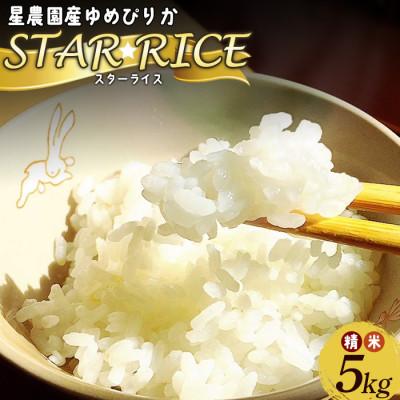 ふるさと納税 愛別町 北海道愛別町 令和7年産 ゆめぴりか「STAR RICE」精米 5kg