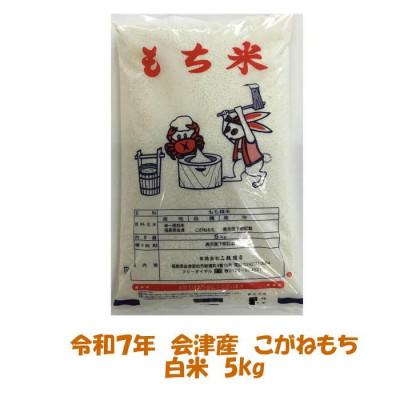 ふるさと納税 会津若松市 会津若松市産 こがねもち 白米 5kg