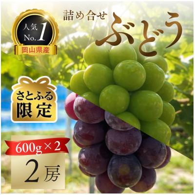 ふるさと納税 岡山市 [さとふる限定・厳選品2房]岡山県産シャインマスカット・ピオーネ詰め合わせ