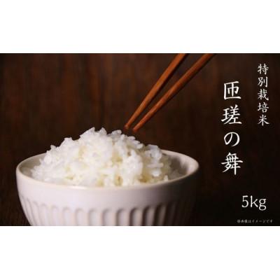 ふるさと納税 匝瑳市 匝瑳の舞 精米 5kg D-1a