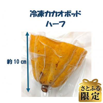ふるさと納税 太田市 [さとふる限定]カカオポッド ハーフ