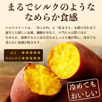 ふるさと納税 山鹿市 シルクスイート さつまいも 約5kg(山鹿市)の画像