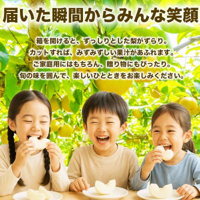 ふるさと納税 和水町 旬の梨 品種おまかせ 12〜36玉 約10kg(和水町)の画像