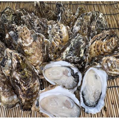 ふるさと納税 北見市 【さとふる限定】サロマ湖産2年牡蠣 約6kg(約36〜54個)_2