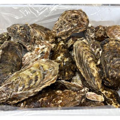 ふるさと納税 北見市 【さとふる限定】サロマ湖産2年牡蠣 約6kg(約36〜54個)_3