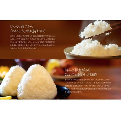 ふるさと納税 与謝野町 令和7年米 京都与謝野町産コシヒカリ「京の豆っこ米」玄米10kg×3袋 【誠武農園】 農家直送の画像