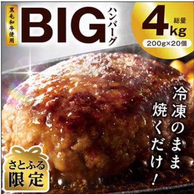 ふるさと納税 泉佐野市 [さとふる限定]BIGハンバーグ4kg+サーロインステーキ250g G3627-1