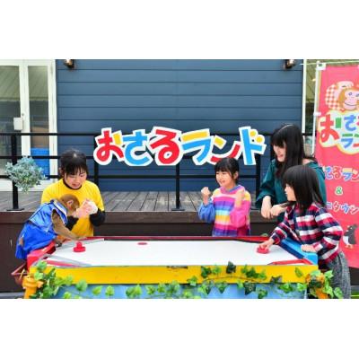 ふるさと納税 日光市 おさるランドパスポートプランペア入場券_1