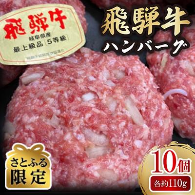 ふるさと納税 神戸町 [さとふる限定]肉の鳥文精肉店 特製 飛騨牛ハンバーグ 10個