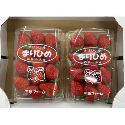 ふるさと納税 日高川町 和歌山県ブランドいちご「まりひめ」約250g×2p