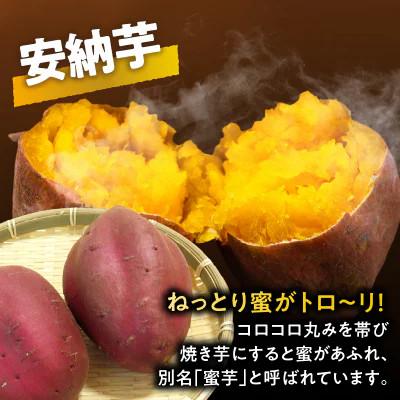 ふるさと納税 都農町 冷やし焼き芋(安納芋) 計2kg さつまいも【T016-0065】の画像