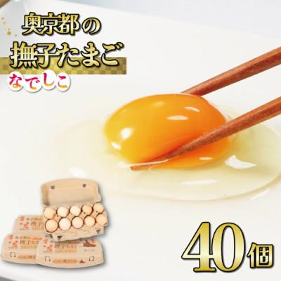 ふるさと納税 福知山市 奥京都の撫子たまご 40個入 (30個+割れ保証10個) 新鮮