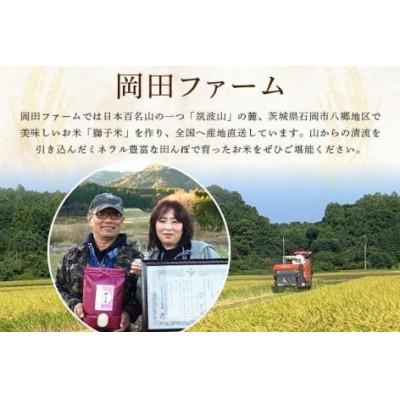 ふるさと納税 石岡市 生活応援!獅子米コシヒカリ精米 20kg(10kg×2袋)_1