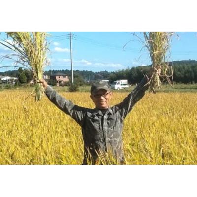 ふるさと納税 石岡市 生活応援!獅子米コシヒカリ精米 20kg(10kg×2袋)_2