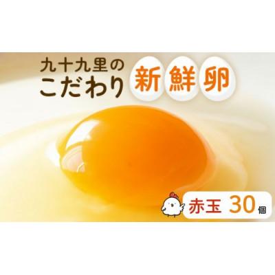 ふるさと納税 匝瑳市 九十九里ファームこだわりたまご贈答用30個〜あおい海・みどりの里〜[赤玉]