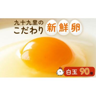 ふるさと納税 匝瑳市 九十九里ファームこだわりたまご90個〜あおい海・みどりの里〜[白玉]