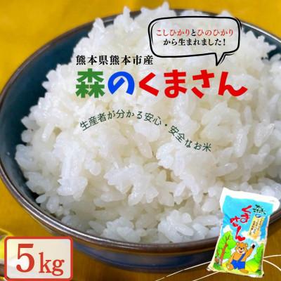 ふるさと納税 熊本市 熊本県産森のくまさん(白米)5kg(熊本市)