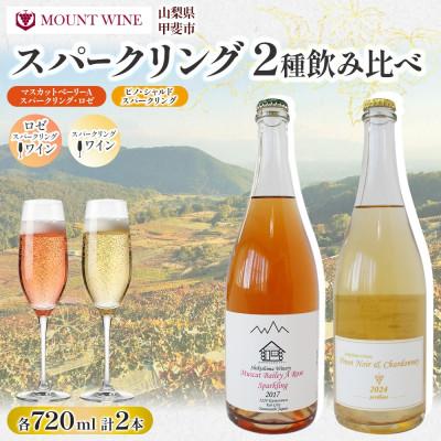 ふるさと納税 甲斐市 ベーリーAロゼ ピノ・シャルドネ 720ml×各1本 スパークリングワイン飲み比べ 自家栽培