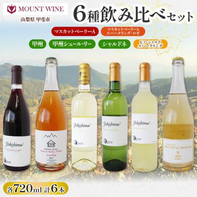 ふるさと納税 甲斐市 国産ワイン6種 飲み比べセット 赤・白・ロゼスパークリング 720ml×各1本 自家栽培