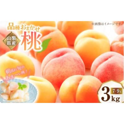 ふるさと納税 中央市 [満足規格]山梨県産の桃約3kg(7〜9玉)品種おまかせ