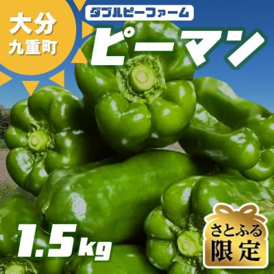 ふるさと納税 九重町 [さとふる限定][先行受付]大分県九重町産 ピーマン 約1.5kg