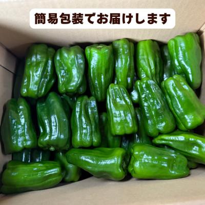 ふるさと納税 九重町 【さとふる限定】【先行受付】大分県九重町産 ピーマン 約4.5kg_2