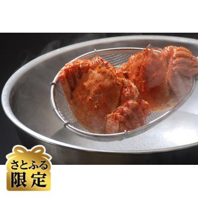 ふるさと納税 北見市 [さとふる限定]旬の3代目漁師のお勧め流氷海明けの活〆茹で毛蟹2尾で約1kgセット
