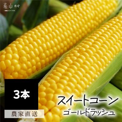 ふるさと納税 産山村 [先行予約]朝採れスイートコーン(ゴールドラッシュ)3本セット