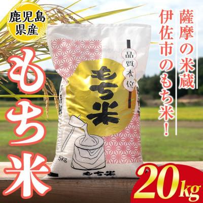 ふるさと納税 伊佐市 鹿児島県産もち米(20kg) 伊佐米