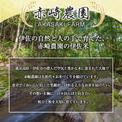 ふるさと納税 伊佐市 鹿児島県産もち米(20kg)  伊佐米 isa870の画像