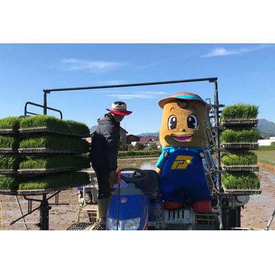 ふるさと納税 厚沢部町 【令和7年産】北海道厚沢部産ななつぼし15kg(5kg×3袋)