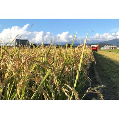 ふるさと納税 厚沢部町 【令和7年産】北海道厚沢部産ななつぼし15kg(5kg×3袋)