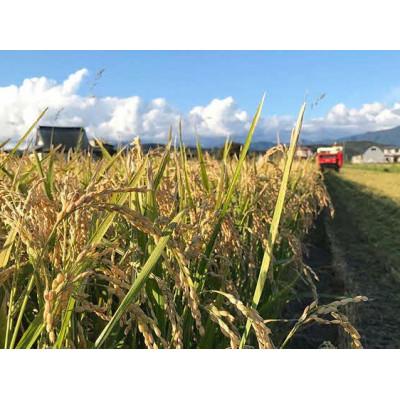 ふるさと納税 厚沢部町 【令和7年産】北海道厚沢部産ななつぼし25kg(5kg×5袋)
