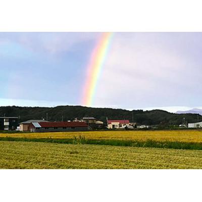 ふるさと納税 厚沢部町 【令和7年産】北海道厚沢部産ななつぼし25kg(5kg×5袋)