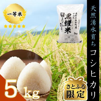 ふるさと納税 長和町 [さとふる限定][個数限定]令和7年産 コシヒカリ5キロ 軟水「黒耀水」育ち 農家直送 一等米精白米